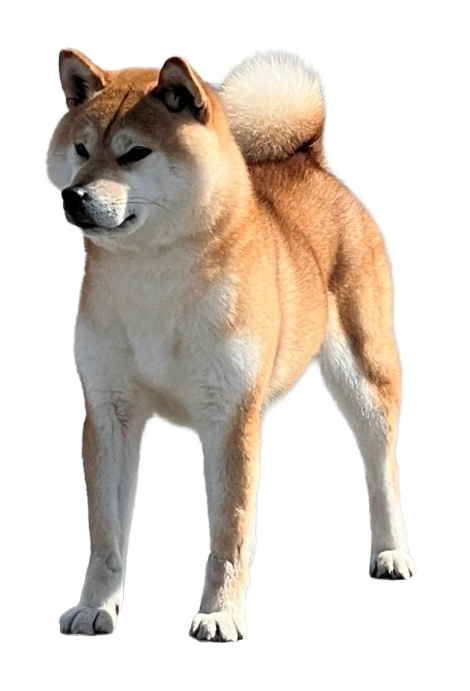 誠和ノ伊織号