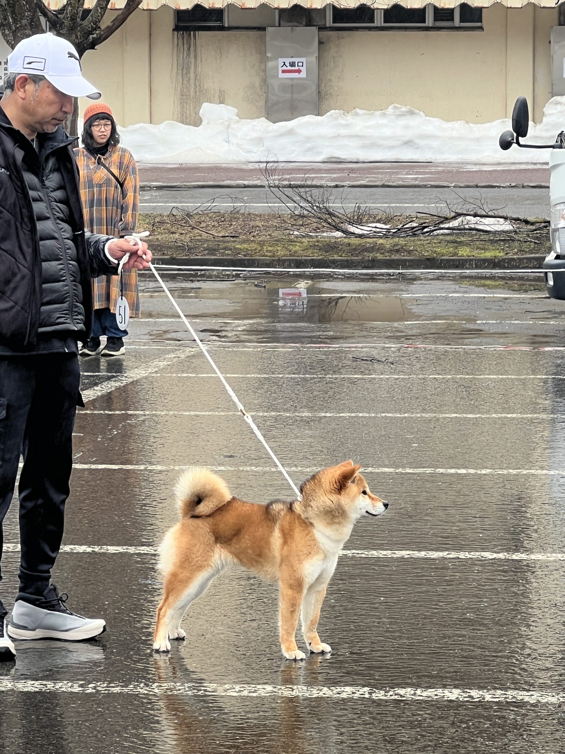 展覧会での立ち姿